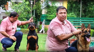 Gurugram  LEGENDARY ROTTWEILER AND GERMAN SHEPHERD BREEDER MR SUSHIL SËHRAWAT GURUGRAM HARYANA [upl. by Heyward]