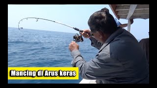 Jigging di arus kenceng [upl. by Boycie]