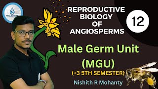 Reproductive Biology Of Angiosperms  Male Gamet Unit MGU  3 5th semester DSC Paper 11 [upl. by Ion]