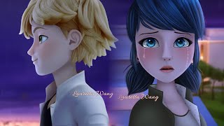 Miraculous Ladybug Adrienette from Ladynoir Season 4 Finale scene fanmade [upl. by Niloc]