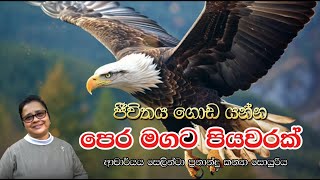 ජීවිතය ගොඩයන්න පෙරමගට පියවරක්  ආචාර්ය ගරු සෙලින්ටා ප්‍රනාන්දු කන්‍යා සොයුරිය  Meziya 2024 11 06 [upl. by Malvie207]