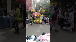 Delhi mein kahan padati hai 🤣🤣🤣 cricket music [upl. by Divd]