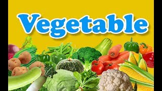 Vegetable Names with Pictures  Different Types Of Vegetables  Healthy Vegetables  Kids Learning [upl. by Naivart]