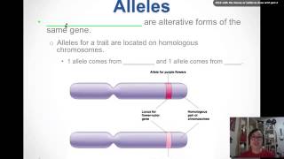 Intro to Genetics [upl. by Tletski359]