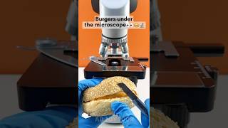 Burgers under the microscope 🍔🔬 amazing facts experiment [upl. by Kern540]