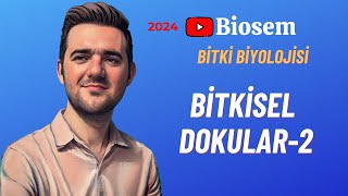 Bitki Biyolojisi  Bitkisel Dokular2 Konu Anlatımı 12 Sınıf Biyoloji [upl. by Isaacs]