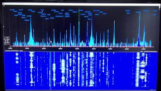 Setting up an SDRPlay Spectrum Window in N1MM [upl. by Darda498]