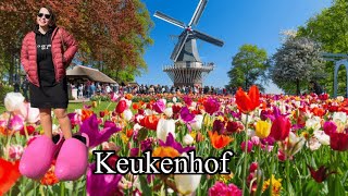 Keukenhof  Кёкенхоф 2022 Королевский парк в Нидерландах [upl. by Lattimer]