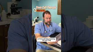 What is Stem Cell Therapy for Dogs by Marc Smith DVM MS [upl. by Treblih503]