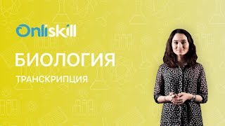 Биология 10 класс  Транскрипция [upl. by Saiasi]