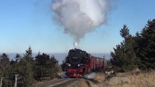 Harzbullen und Brockenfüchse  Volldampf auf dem Brocken HD [upl. by Zohara]