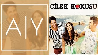 Çilek Kokusu  Alp Yenier  Her Şeyin Ötesinde Official Audio [upl. by Hrutkay]