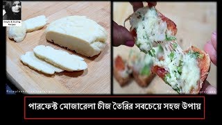 Mozzarella Cheese  রেনেট ছাড়া সবচেয়ে কম খরচে মোজারেলা চীজ  Homemade Pizza Cheese Without Rennet [upl. by Jodie]