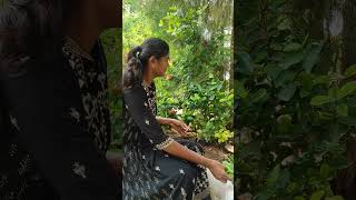 Ixora plant propagation best flowering in outdoorgardenup gardening garden gardendesign [upl. by Hirasuna]