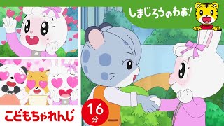 【16分アニメ】みみりんの推し、たまさぶろうくん✨ 人気者も大変だね💦  しまじろうのわお！アニメ  しまじろうチャンネル公式 [upl. by Akit998]