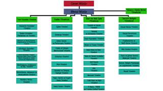 Klinik Yönetim Modeli ve Organizasyon Şeması [upl. by Robina]