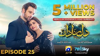 DileNadan Episode 25  Eng Sub  Mikaal Zulfiqar  Amar Khan  Ali Abbas  5th November 2024 [upl. by Carpenter]