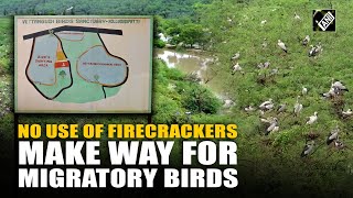 Villagers in TN’s Sivaganga district give up on firecrackers to protect migratory birds [upl. by Wernher]