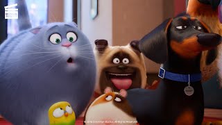 THE SECRET LIFE OF PETS 2  9 Minutes Trailers 2019 [upl. by Nhabois507]