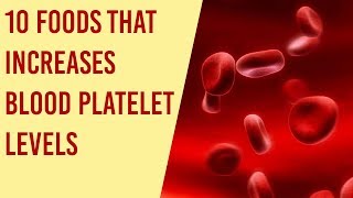 Top 10 Foods to Increase Your Blood Platelets Count Fast [upl. by Emerej24]