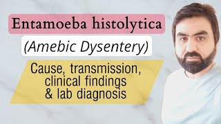 Lec3  Entamoeba histolytica  Transmission  Life cycle  Pathogenesis  Lab diagnosis UrduHindi [upl. by Mauceri]