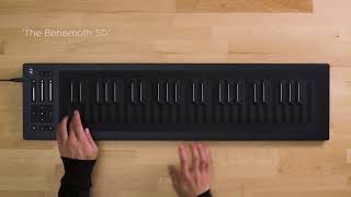 Strobe2 Expander All About That Bass amp Seaboard RISE [upl. by Yaf]