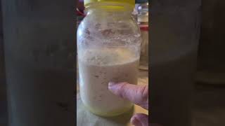 Kefir with NonFat Powdered Milk Update [upl. by Oiramrej]