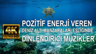 Dinlendirici Müzikler I Deniz Altı Manzaraları Eşliğinde 4K I Pozitif Enerjili Veren Müzikler 2024 [upl. by Anairb]