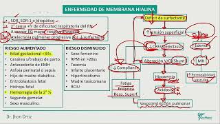 Neonatología  Enf de membrana hialina [upl. by Yraeht]