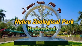 Nehru Zoological Park Hyderabad  Hyderabad 2022  zoo park nehru zoological [upl. by Aliemaj35]