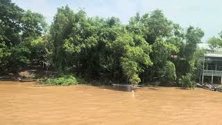 Relaxing Mekong River Delta Cruise POV Riverbank View Vietnam Cambodia AMA Waterways AmaDara [upl. by Ayanaj]