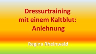 Dressurtraining mit einem Kaltblut 1 Anlehnung von Regina Rheinwald [upl. by Nellir]