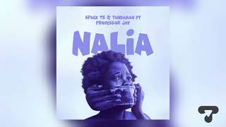 Spack amp Tundaman ft Professor Jay  NALIA Official Music Audio [upl. by Cecelia]