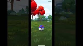 Catching a Wild Pikipek in Pokémon GO [upl. by Masson]