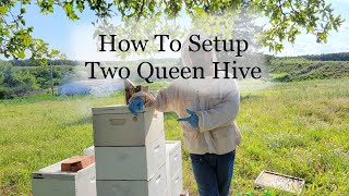 How To Setup Two Queen Hive [upl. by Lia]