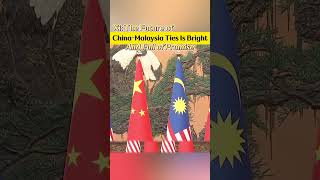 Xi The future of china  malaysia ties is bright and full of promisefyp fypシ xijinping [upl. by Hanala]