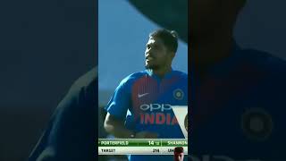 cricket tik tok new status🔥cricket tik tok videocricket whatsApp status new🔥shorts cricket [upl. by Essilrahc]