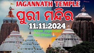 jagannath Puri Yatra  Jagannath Dham  jagannath puri mandir Inside the worlds most Extravagant [upl. by Asseneg]