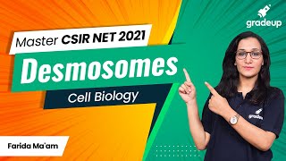 CSIR NET Master Series  Cell Biology  Desmosomes  Cell Junction  Gap Junction  Gradeup [upl. by Anailuj]