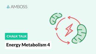 Energy Metabolism  Part 4 Fatty Acids amp Carnitine Transporter [upl. by Haraf671]