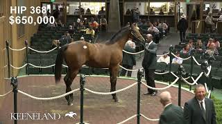 Hip 368 Uncle Mo  Spring Eclipse sells for 1 million at 2024 Keeneland September [upl. by Ysdnyl]