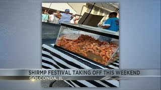 Shrimp Festival kicking off this weekend in Golconda [upl. by Oruhtra]