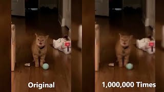 I go meow meme Original Vs I go meow meme over 1000000 times [upl. by Naenej]