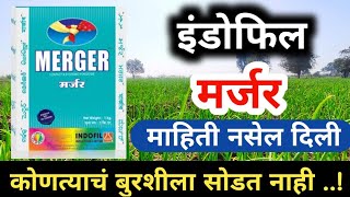 मर्जर बुरशीनाशक पूर्ण माहिती  Indofil Merger Fungicide √ Top Fungicide Tricyclazol  mancozeb [upl. by Gninnahc368]