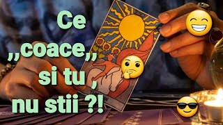 Surprize  surprize 😁 nu totul  este ceea ce pare 😎 va veni cu o propunere  in ce conditii 🤔⁉️ [upl. by Trenton]