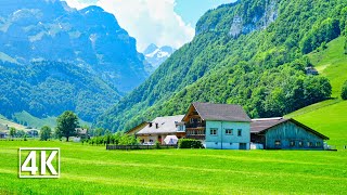 Weissbad Appenzell 🇨🇭 Switzerland [upl. by Levinson430]