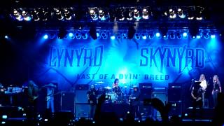 Lynyrd Skynyrd  Simple Man  Live  Rockville 4282013 [upl. by Aylward859]