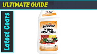 Spectracide Weed Killer Fastest Weed Killer [upl. by Cynthia747]