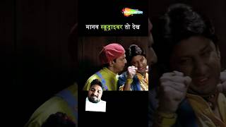 Dhamaal short shorts reels shortvideo dhammal asrani comedy comedyshorts bollywood movie [upl. by Aicirpac779]