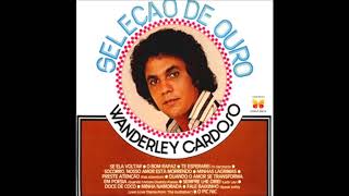 WANDERLEYCARDOSO  LP 1977 [upl. by Chappie360]